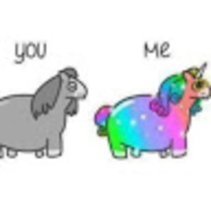 Meet your Posher, Mia